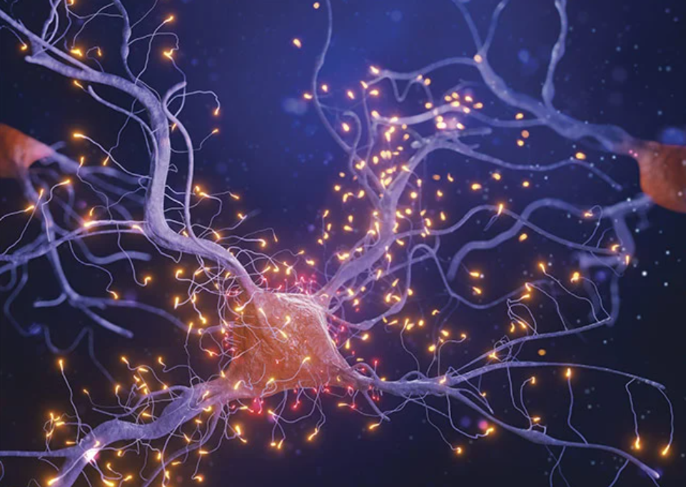 声光器件克服了共聚焦显微镜的局限性